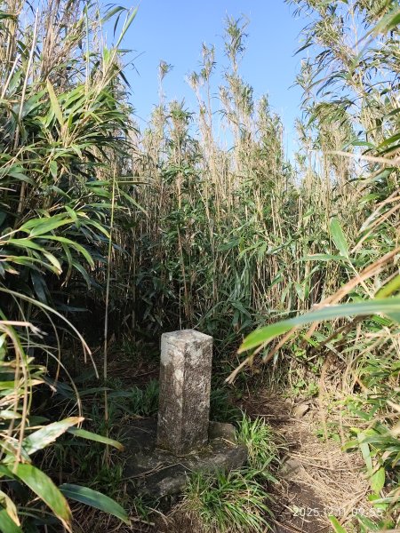 【臺北大縱走 2】【第二回合全程完成證書】鞍部→大屯山步道→大屯山主峰→大屯坪步道→二子坪步道2960362