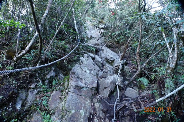 臺中 和平 稍來山1597375