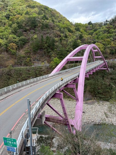 桃園 復興 巴陵古道3011853