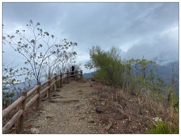 惠蓀林場 杜鵑嶺 O遶一圈3010270