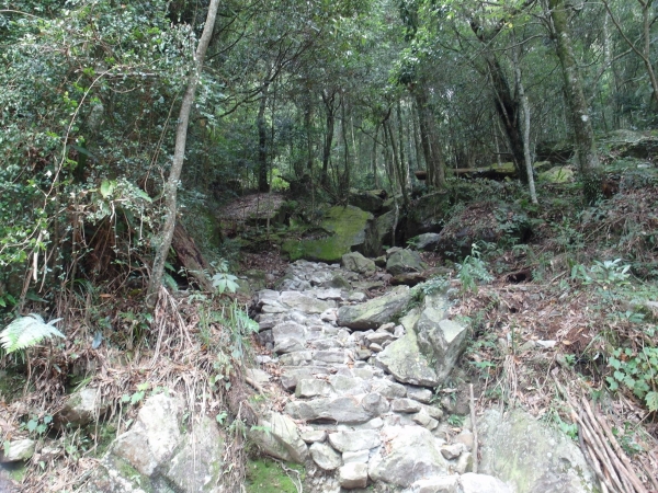 台灣小百岳第39座- 鳶嘴山+稍來山86075