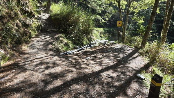 20240629-0630 嘉明湖步道+三叉山+向陽山2619572