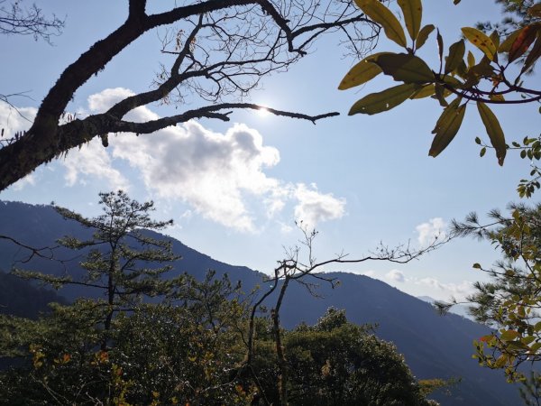 鳶嘴稍來 - 2020/2/8828505