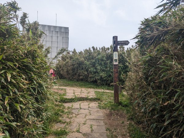 「走遍陽明山尋寶任務」三條路線串聯巡禮2105537