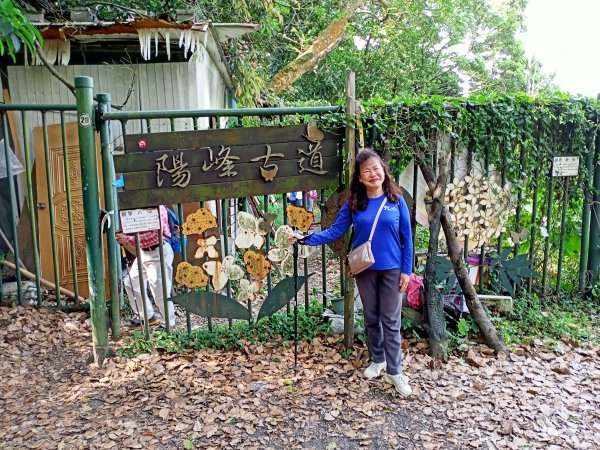 山明水秀的陽明山國家公園 : 陽峰古道→大屯瀑布→青春嶺→猴崁水圳步道→竹子湖1355939