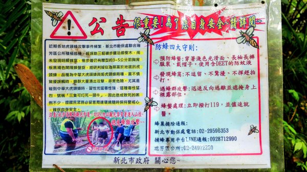 三貂嶺瀑布群,野人谷瀑布群2832502