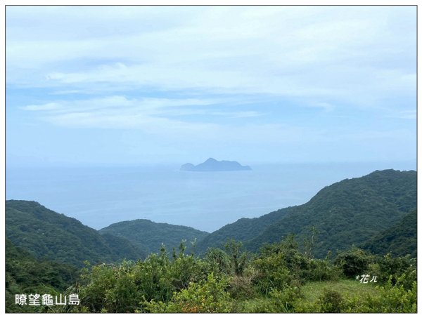 灣坑頭山(小百岳)內寮線、大溪線、草嶺線連走2529370