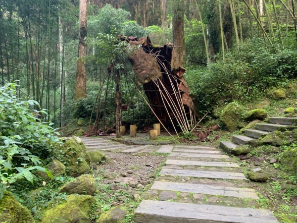 頂湖環湖步道1117469