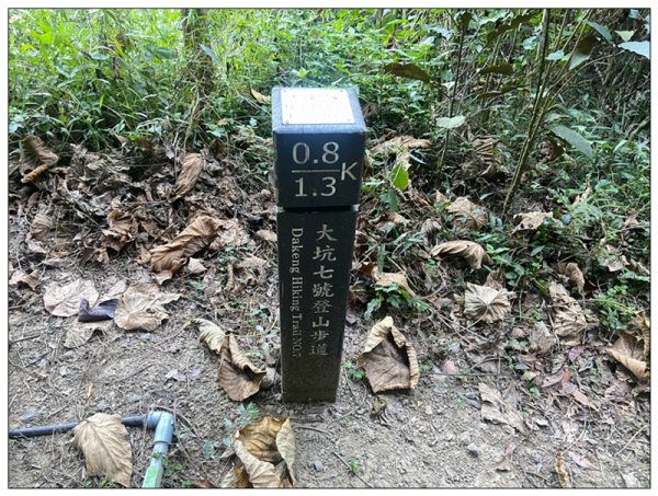 軍功寮山、大坑9、7、6、9-1步道 O型一圈2950812