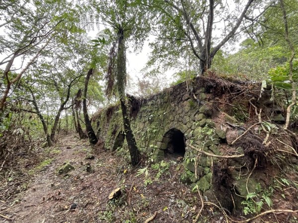 武山坑炭窯2990727