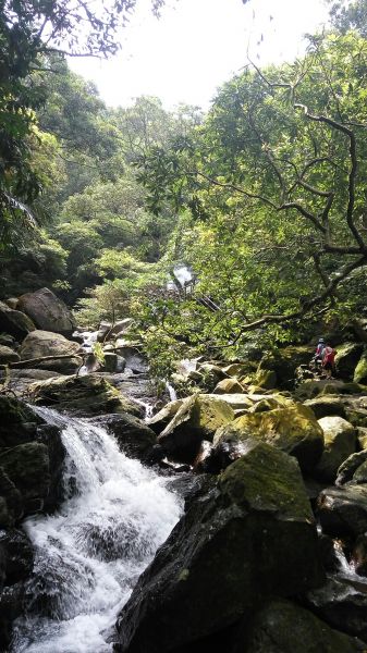 105.06.18 青山瀑布 尖山湖步道190713