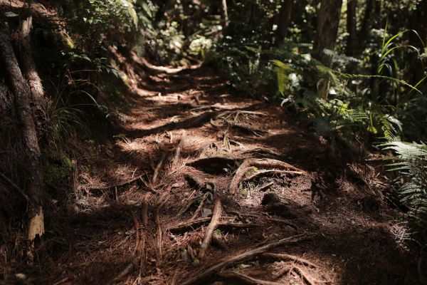 谷關七雄：新山馬崙山178283