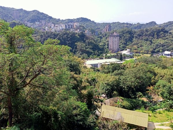 象獅豹虎-四獸山探秘之象山秘境（2-1 捷運象山站→無極瑤池宮）2065536