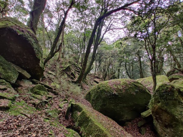 2020.05.02加里山 鹿場登山口來946340