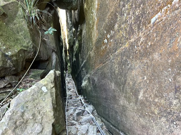 竹子尖山、梅嶺2943152