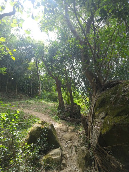 2024.12.21－旗尾山步道2677415