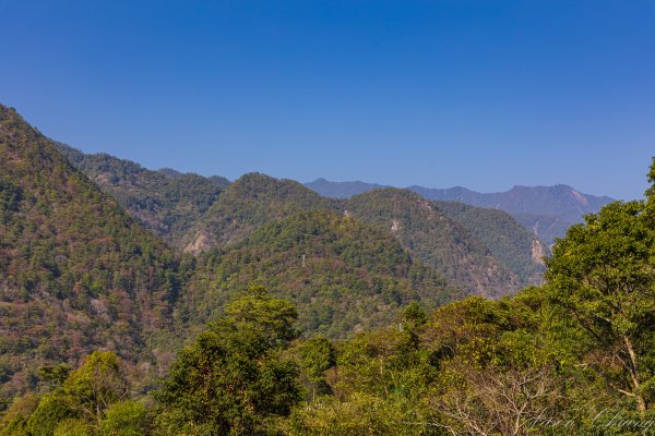 谷關七雄_唐麻丹山3015654