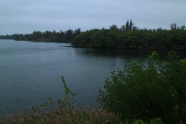 雲林．口湖椬梧滯洪池自行車道2023/01/012003591