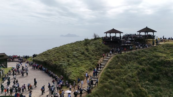 2025.11.29－草嶺古道芒花季2955986