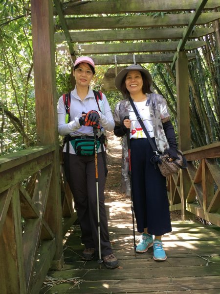 造橋口山古道434811