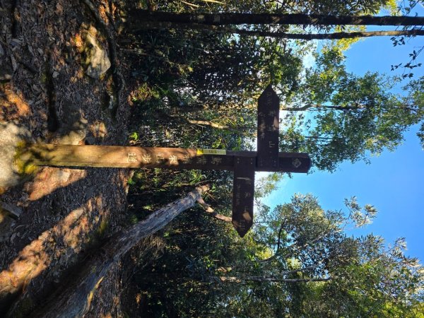 鳶嘴稍來山之楓紅／雲海2974082