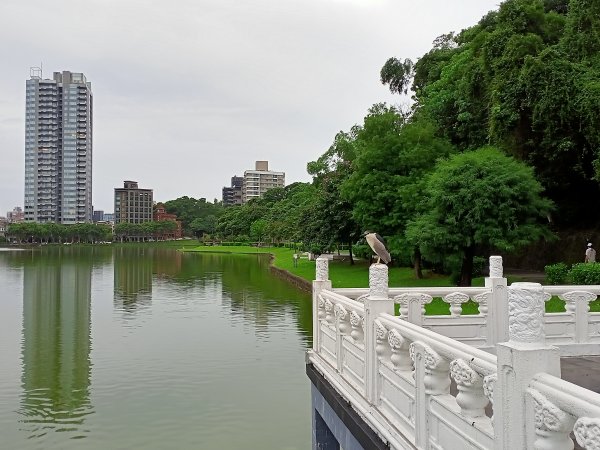 《細雨霏霏的碧湖公園環湖步道》1433557