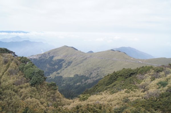 合歡東峰_2025/03/292782377