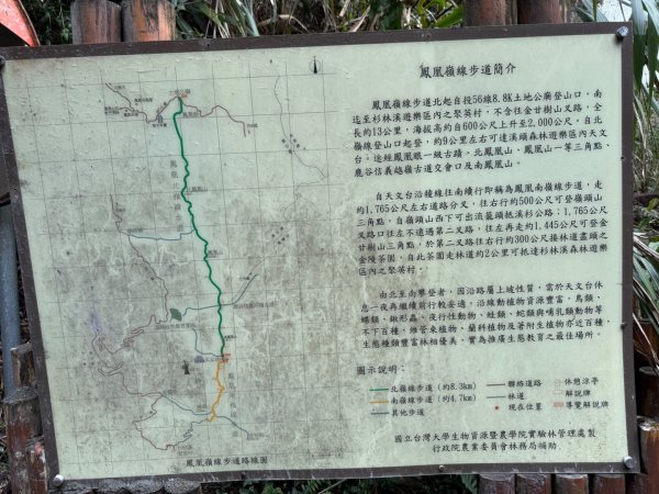 1150301溪頭天文台步道3008358