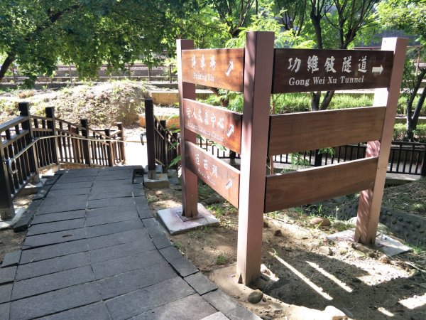 神壽任務尋寶趣-功维敍隧道&貓貍山公園1431436