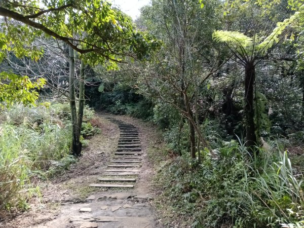 姜子寮山步道2734830