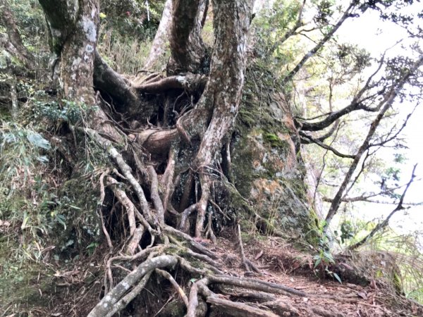 嘎色鬧走那結山1370920