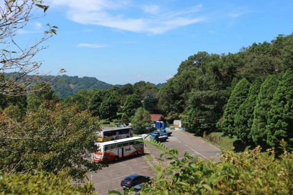 小百岳NO.22東眼山，因山形似躺著的少女  大眼睛向東而望之 絕美柳杉雲海 東眼山2297012