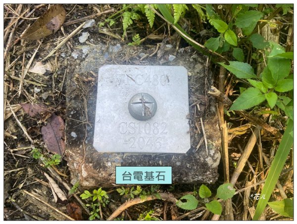 后里 七星山 新發現基石2990043