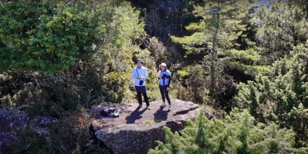 塔塔加五連峰2831430