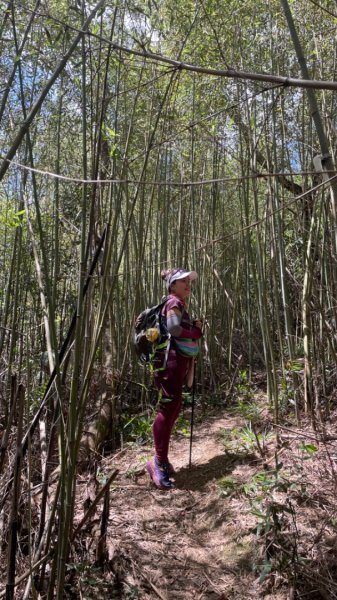 新店塗潭山.灣潭山.和美山南勢角山走走2588628