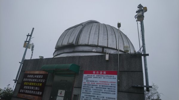 溪頭天文台登山步道、神木步道1523941