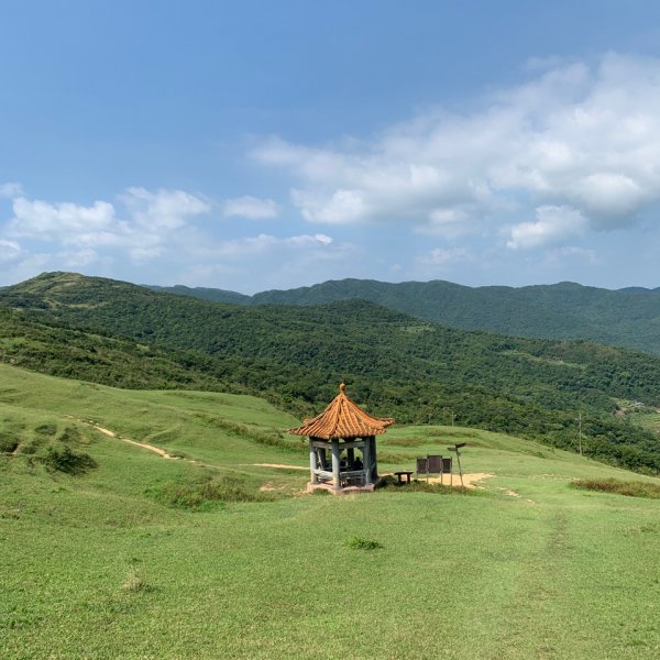 桃源谷步道-灣坑頭山（小百岳）-草嶺古道1867357