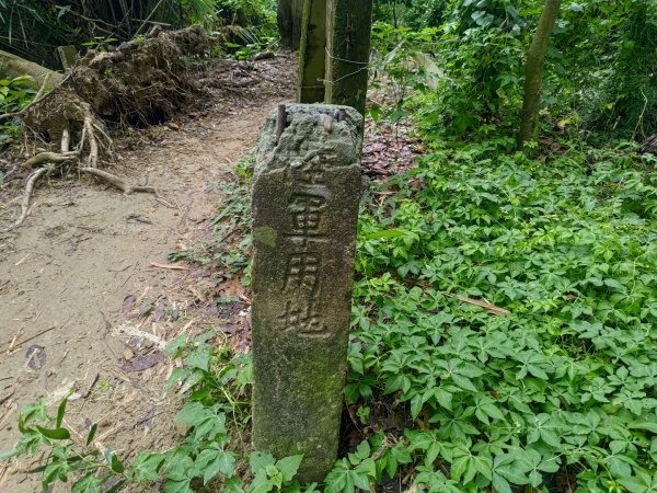 蘭潭後山步道紅毛埤山2599626