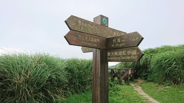 再次愛上陽明山189849