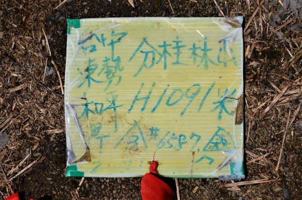 2021-04-30 : 分桂林山 - 順遊出雲山