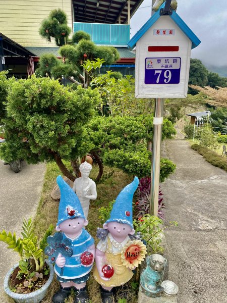 東勢基石巡禮(麻竹坑山.石角山.酒保坪山.大南坑山.主峰)  2022/12/301976285