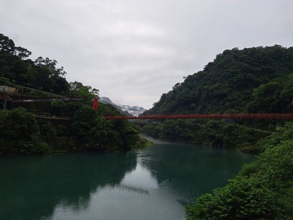 新北內洞國家森林遊樂區步道封面