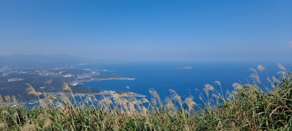 基隆山步道1274942