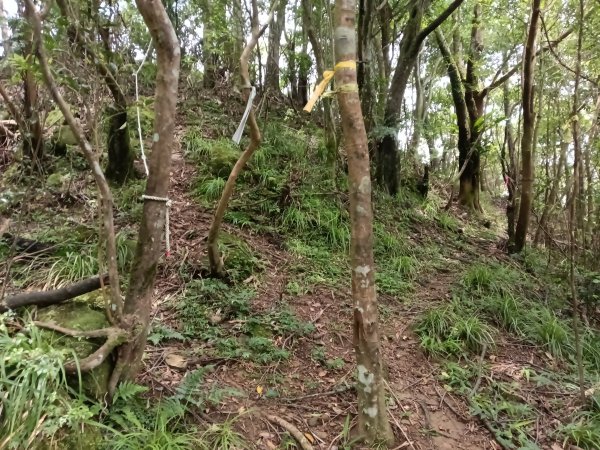 平溪區平溪子山遇雷雨O型2850128