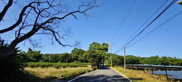 2025/10/05_四角坪道2905293