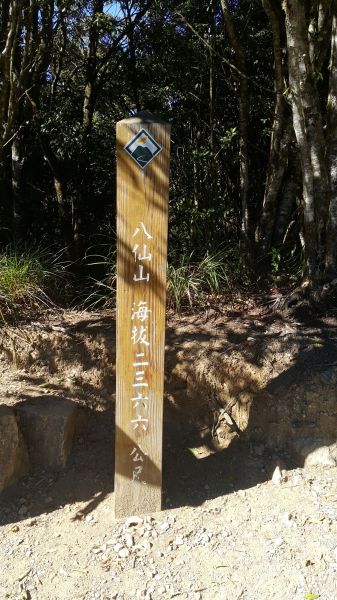 八仙山國家森林步道 2016 12 10191770