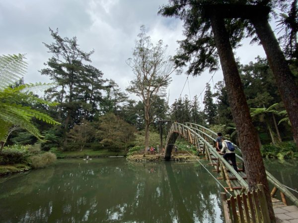 20191109貓仔們之溪頭森林步道探索757217