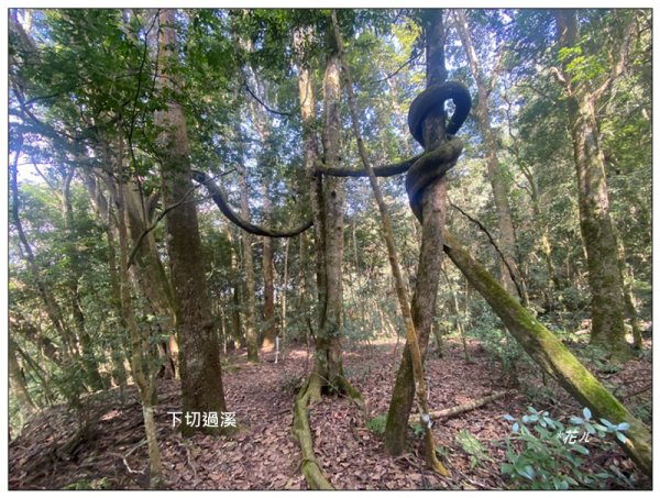 加里山前山隘勇線、騰龍山、橫龍山 連走3027652