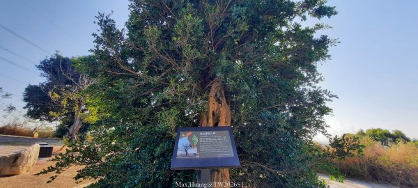 《台中》短暫暖陽｜龍井竹坑南寮步道O繞202601042976428