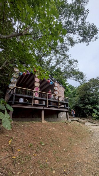 114.05.04三芝桐花步道-百年田梯步道-大鵬足湯公園2779897